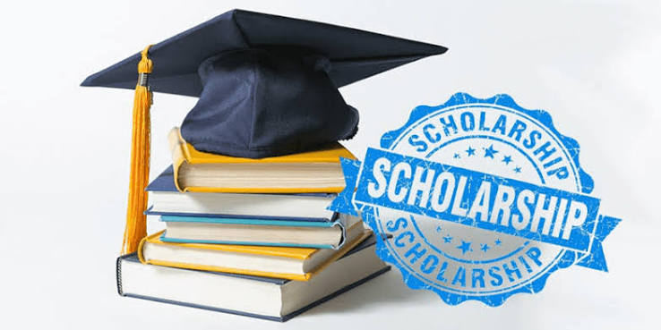 Học bổng du học Đài Loan 2026: Phân loại theo hệ và theo trường